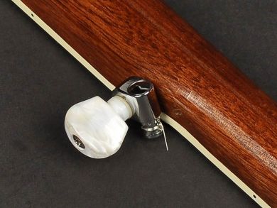 Richwood RMB-405 Master Series 5- kielinen banjo