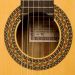 Esteve 7F flamencokitaran rosetti