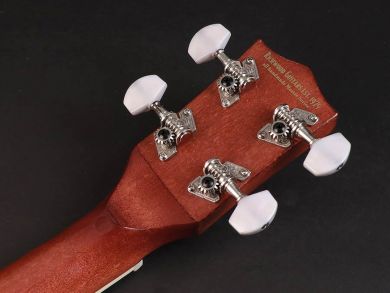 Richwood banjo-ukulele