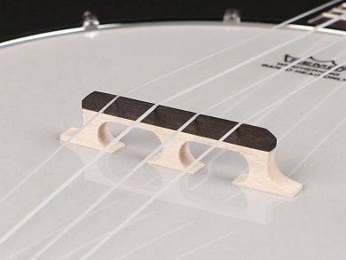 Richwood banjo-ukulele