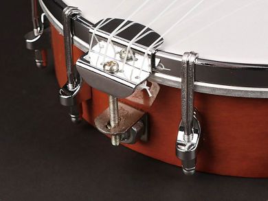 Richwood banjo-ukulele