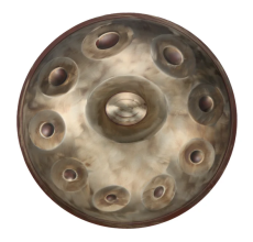 Mr. Pans D Kurd 10+3 Handpan – Vintage Gold 01