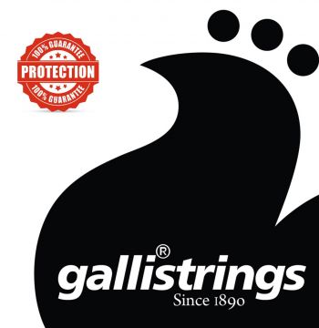 Galli Strings Ouverture OV61   3/4 sellon kielet