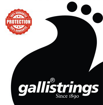 Galli Strings LS-1027 light 12-kielisen setti
